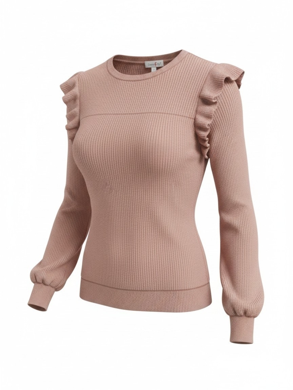 NWT Perfectly Priscilla Long Sleeve Ruffle Top